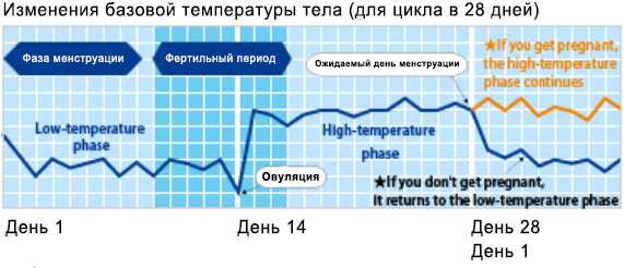 Проблемы