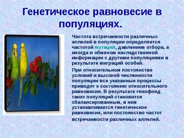 Терминология
