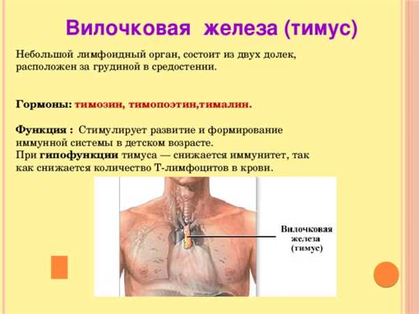 Причины