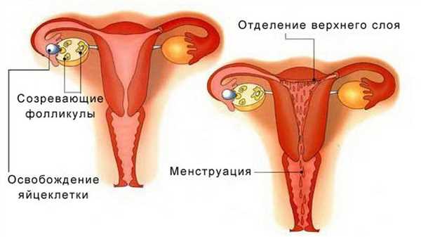Практические
