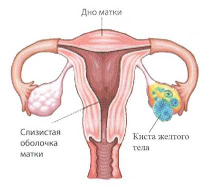 Психологическое