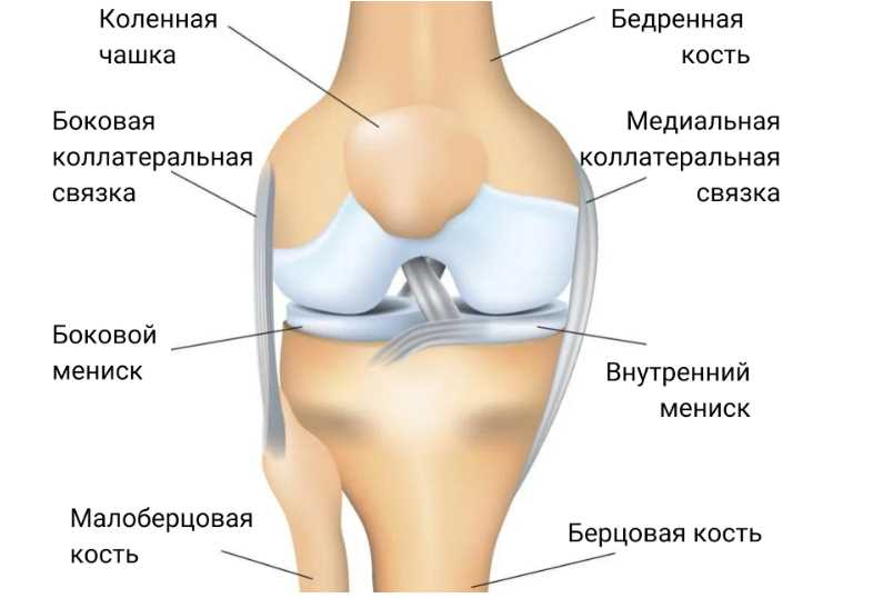 Примеры