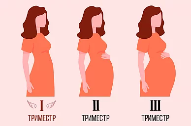 Роль
