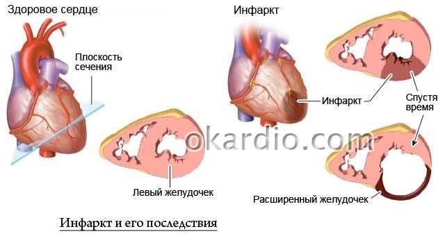 Дыхательные