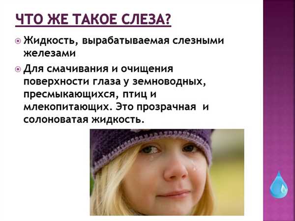Проект: