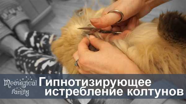 Уход