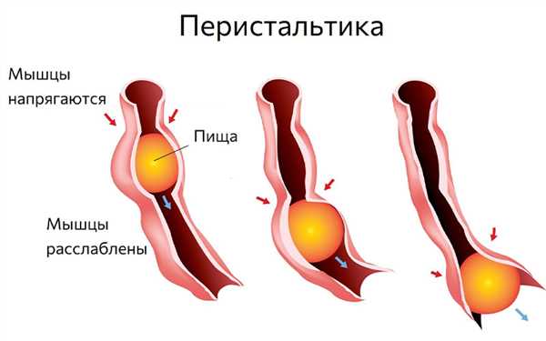 Нерегулярное