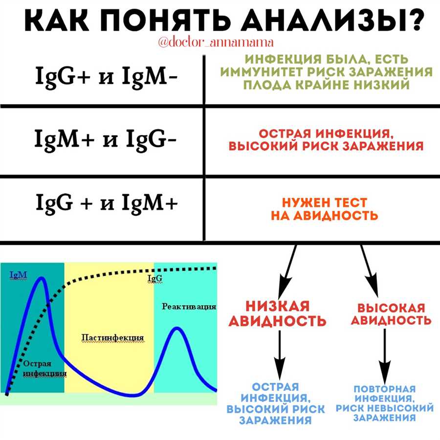 Igg