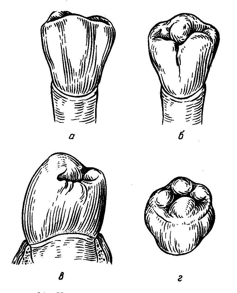 1.