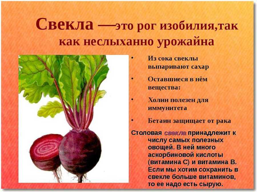 Богатый