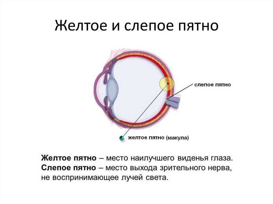Ролевое