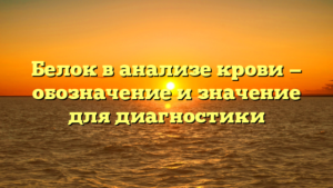 Белок в анализе крови — обозначение и значение для диагностики