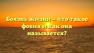 Боязнь жизни — что такое фобия и как она называется?