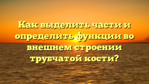 Как выделить части и определить функции во внешнем строении трубчатой кости?