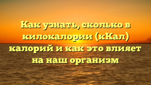 Как узнать, сколько в килокалории (кКал) калорий и как это влияет на наш организм