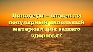 Линолеум — опасен ли популярный напольный материал для вашего здоровья?