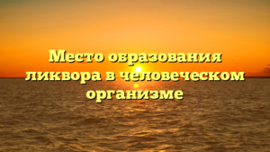 Место образования ликвора в человеческом организме