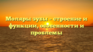 Моляры зубы – строение и функции, особенности и проблемы