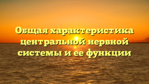 Общая характеристика центральной нервной системы и ее функции