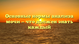 Основные нормы анализа мочи — что должен знать каждый