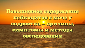 Повышенное содержание лейкоцитов в моче у подростка — причины, симптомы и методы обследования