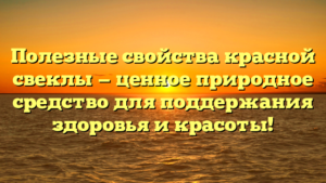 Полезные свойства красной свеклы — ценное природное средство для поддержания здоровья и красоты!