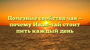 Полезные свойства чая — почему Иван-чай стоит пить каждый день