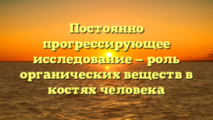 Постоянно прогрессирующее исследование — роль органических веществ в костях человека