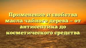 Применение и свойства масла чайного дерева — от антисептика до косметического средства