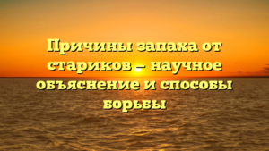 Причины запаха от стариков — научное объяснение и способы борьбы