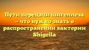 Пути передачи шигеллеза — что нужно знать о распространении бактерии Shigella