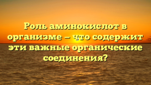 Роль аминокислот в организме — что содержит эти важные органические соединения?