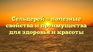 Сельдерей — полезные свойства и преимущества для здоровья и красоты