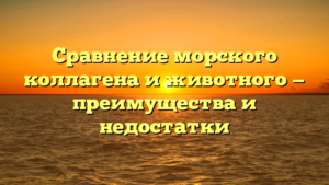 Сравнение морского коллагена и животного — преимущества и недостатки