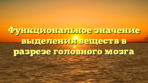 Функциональное значение выделения веществ в разрезе головного мозга