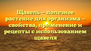 Щавель — полезное растение для организма — свойства, применение и рецепты с использованием щавеля