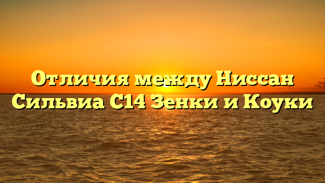 Отличия между Ниссан Сильвиа С14 Зенки и Коуки