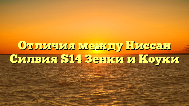 Отличия между Ниссан Силвия S14 Зенки и Коуки