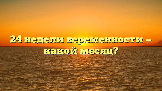 24 недели беременности — какой месяц?