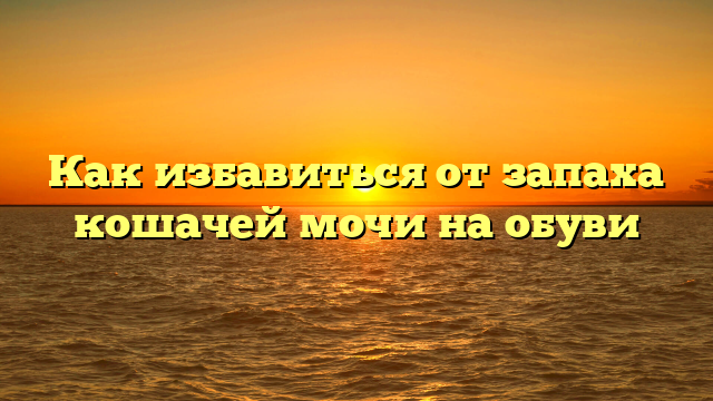 Как избавиться от запаха кошачей мочи на обуви