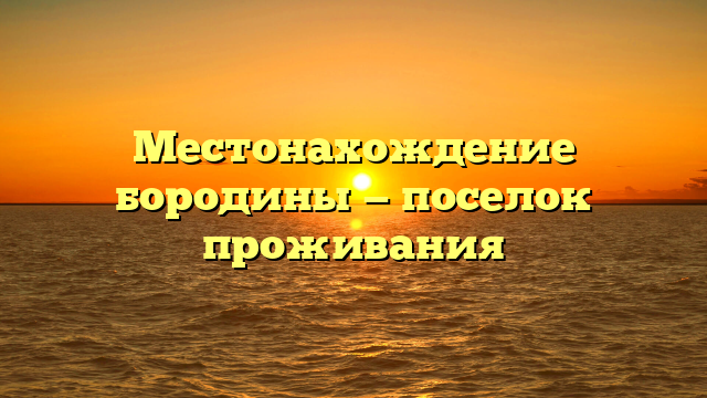 Местонахождение бородины — поселок проживания