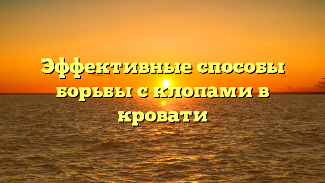 Эффективные способы борьбы с клопами в кровати